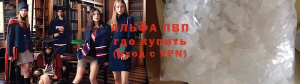 сатива Лабытнанги