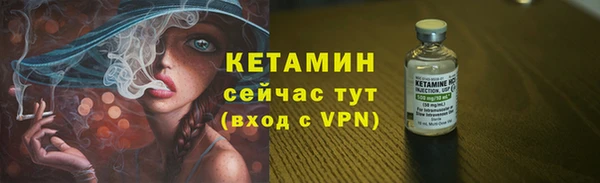 сатива Лабытнанги