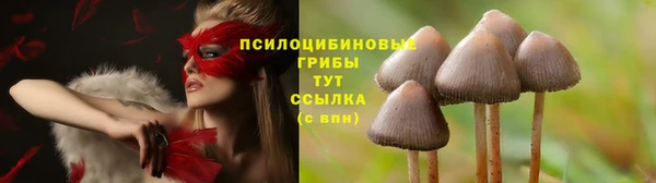 герыч Ладушкин