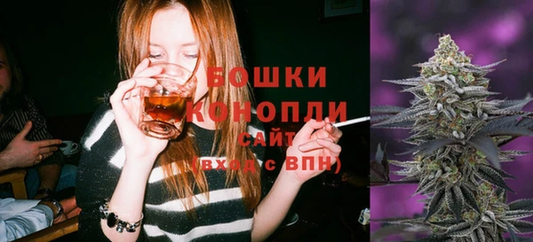 сатива Лабытнанги