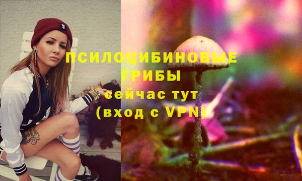 герыч Ладушкин