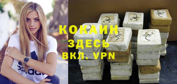 сатива Лабытнанги