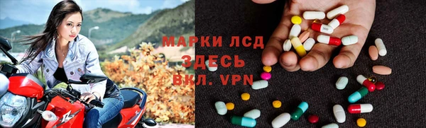 сатива Лабытнанги