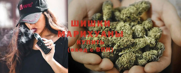 сатива Лабытнанги