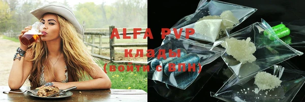 сатива Лабытнанги