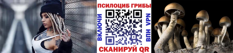 Галлюциногенные грибы Magic Shrooms  купить   Комсомольск-на-Амуре 